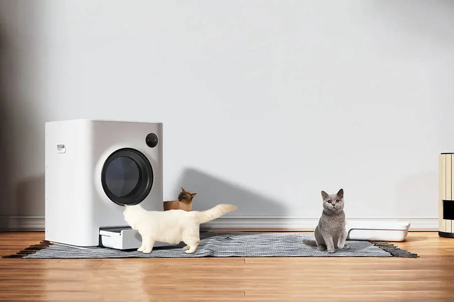 odor free cat box